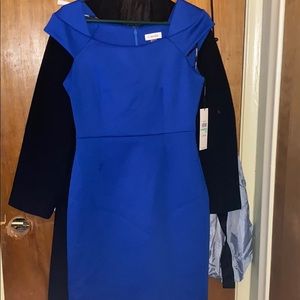 Blue Calvin Klein Dress